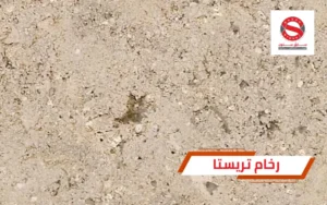 رخام تريستا